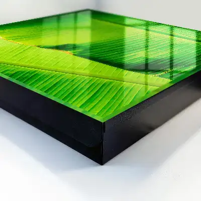 La feuille brille de lignes délicates