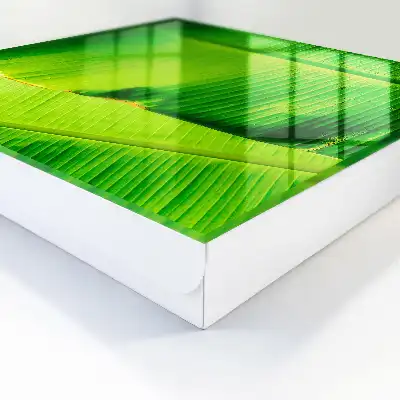 La feuille brille de lignes délicates