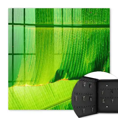 La feuille brille de lignes délicates