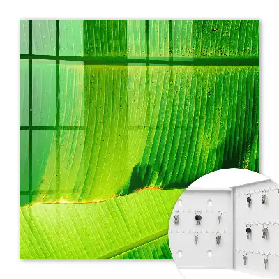 La feuille brille de lignes délicates