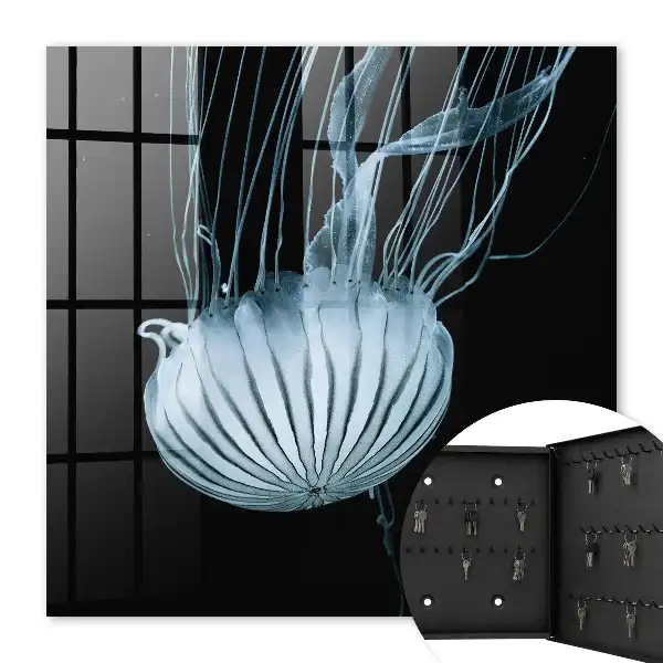 Mer calme sur fond noir
