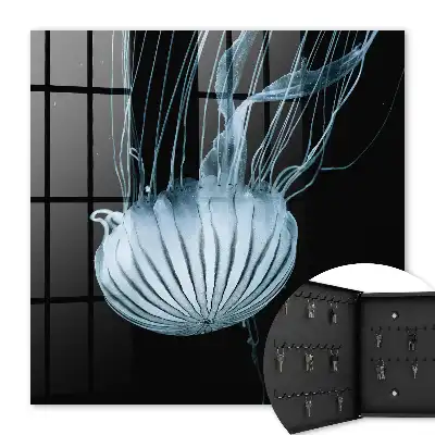Mer calme sur fond noir