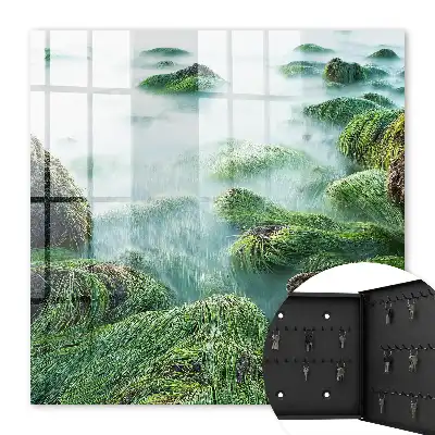 Vagues vertes sans brume