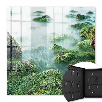 Vagues vertes sans brume