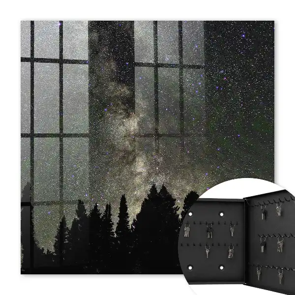 Ciel étoilé avec des arbres sombres