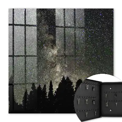 Ciel étoilé avec des arbres sombres