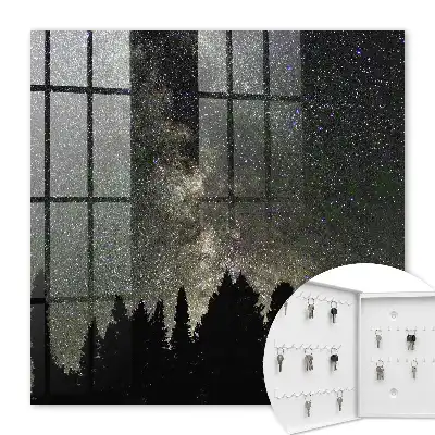 Ciel étoilé avec des arbres sombres