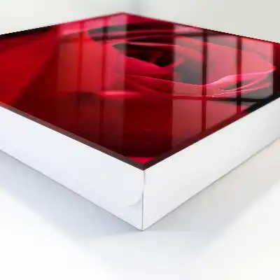 Gros plan sur des pétales de rose