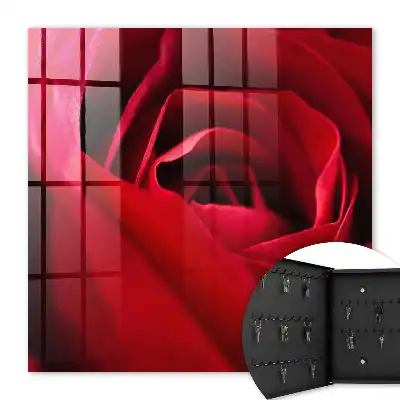 Gros plan sur des pétales de rose