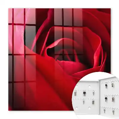 Gros plan sur des pétales de rose