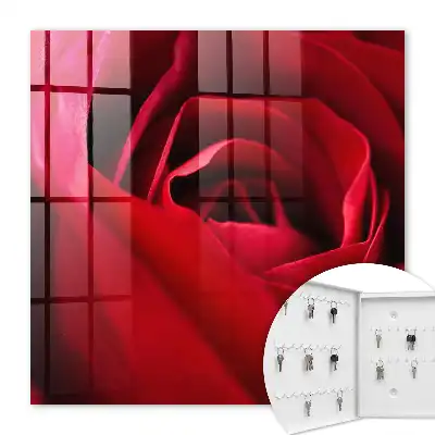 Gros plan sur des pétales de rose