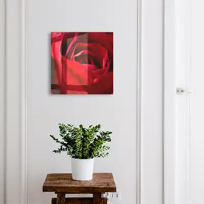 Gros plan sur des pétales de rose