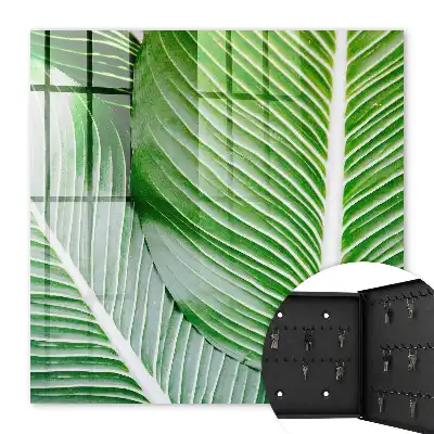 Le vert de la nature s'exprime par des lignes