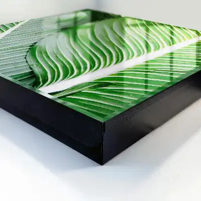 Le vert de la nature s'exprime par des lignes