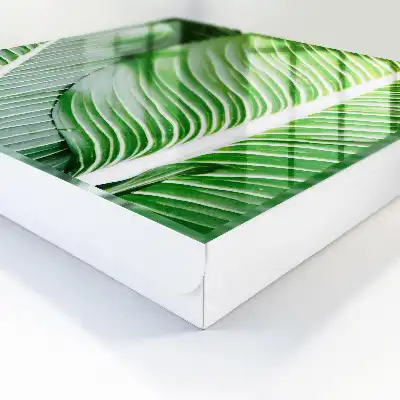 Le vert de la nature s'exprime par des lignes