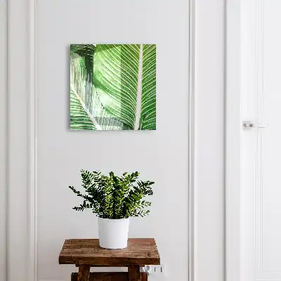 Le vert de la nature s'exprime par des lignes