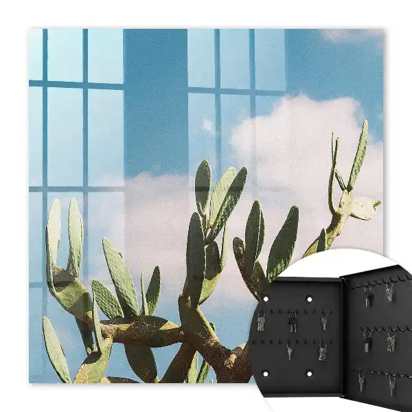 Cactus vert et ciel bleu