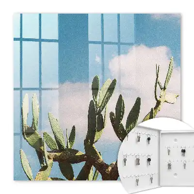 Cactus vert et ciel bleu