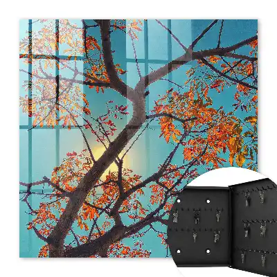 Ciel bleu et arbre d'automne