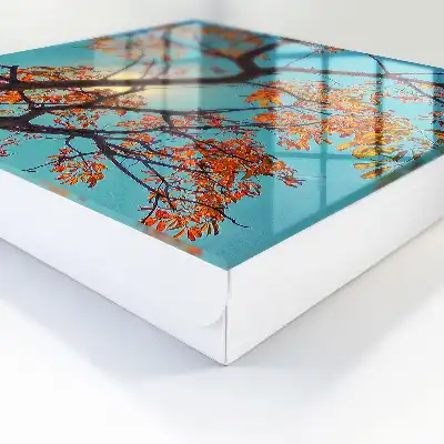 Ciel bleu et arbre d'automne