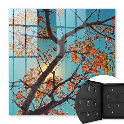 Ciel bleu et arbre d'automne