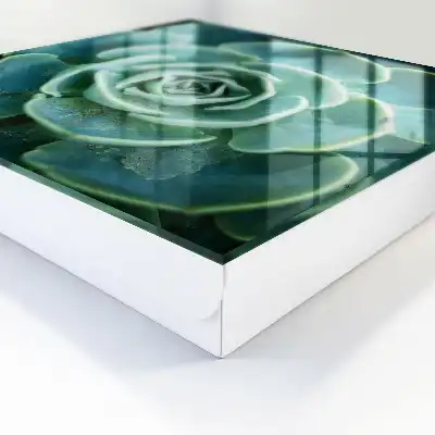 Rosette verte pour la détente