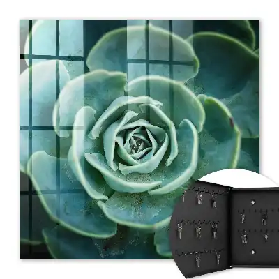 Rosette verte pour la détente