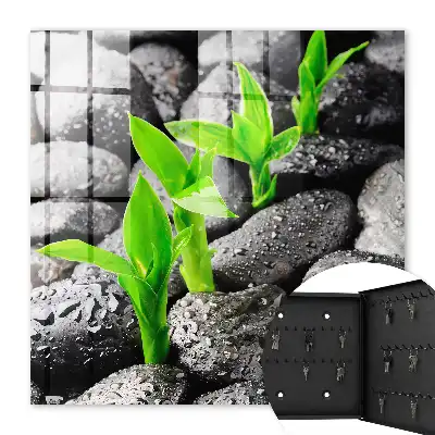 La nature verte des pierres mouillées