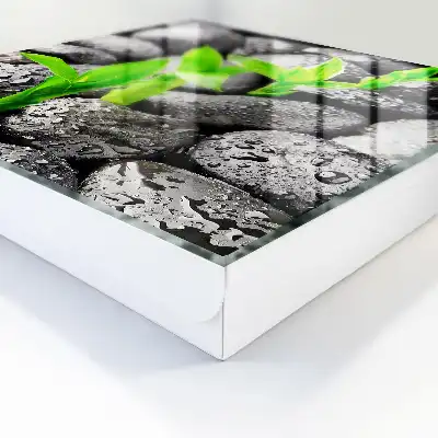 La nature verte des pierres mouillées