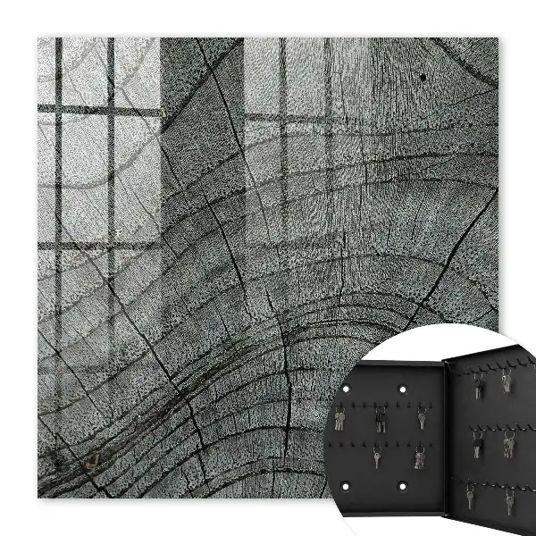 Cernes d'arbres dans des tons de gris