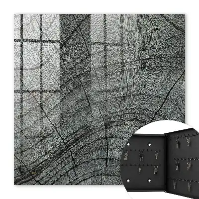 Cernes d'arbres dans des tons de gris