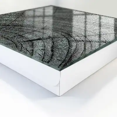 Cernes d'arbres dans des tons de gris