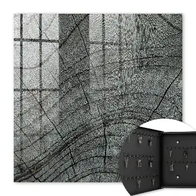 Cernes d'arbres dans des tons de gris