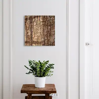Écorce d'arbre à motif naturel