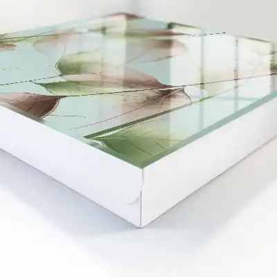 Feuilles de la nature vert et brun
