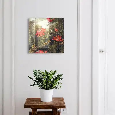 Le caractère exotique de la forêt dense