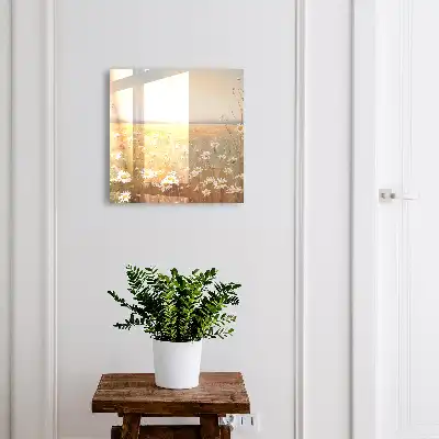 La prairie de marguerites se calme