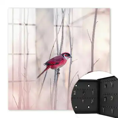 Deux oiseaux aux couleurs délicates