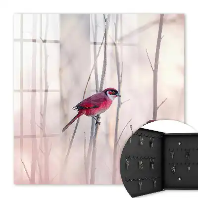 Deux oiseaux aux couleurs délicates