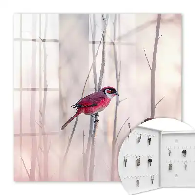 Deux oiseaux aux couleurs délicates