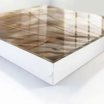 Pissenlits dans des tons de beige