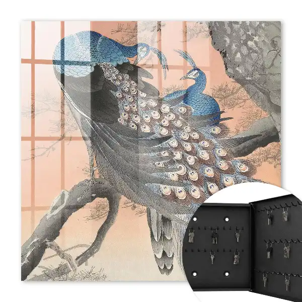 La beauté d'un paon sur fond pastel
