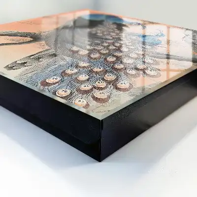 La beauté d'un paon sur fond pastel