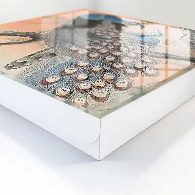 La beauté d'un paon sur fond pastel