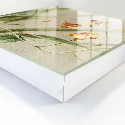 Fleurs, vignes et végétation verte