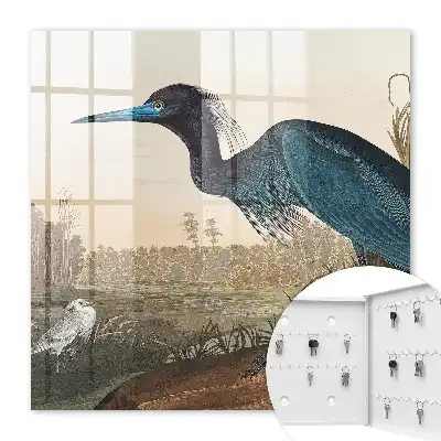 Tableau décoratif oiseau exotique dans la végétation