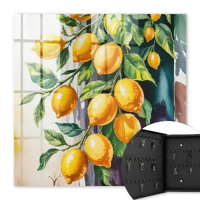 Infusion charme citronné aux feuilles vertes