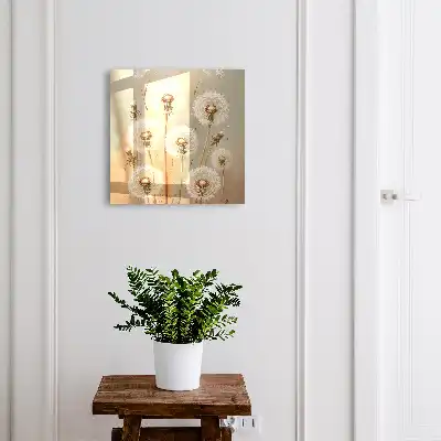 Les pissenlits, la beauté du beige et du blanc
