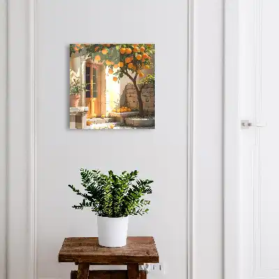Oranger de jardin