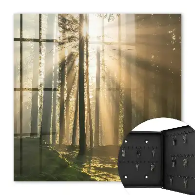 Lumière de forêt à l'atmosphère magique